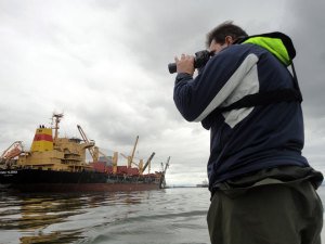 Porto monitora animais marinhos na Baía de Paranaguá