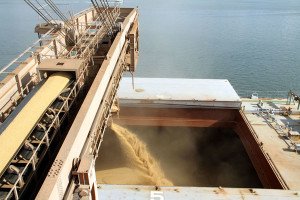 Porto de Paranaguá carrega primeiro navio com soja da nova safra