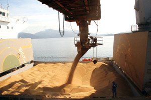 Milho e açúcar puxam exportações do Porto de Paranaguá