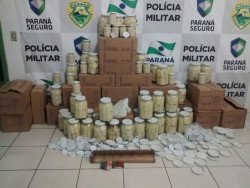 Policiais ambientais fecham fábrica de palmito em Paranaguá
