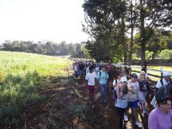 Tem Caminhadas na Natureza em Paranaguá