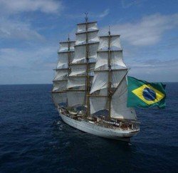 cisne branco em Paranaguá