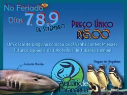 aquario